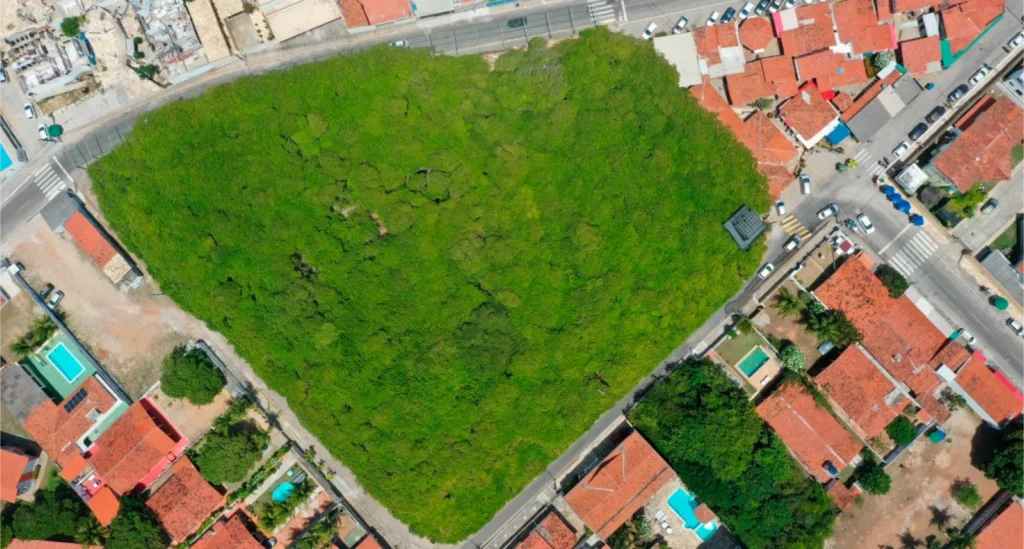 Cajueiro de Pirangi - Vista aérea